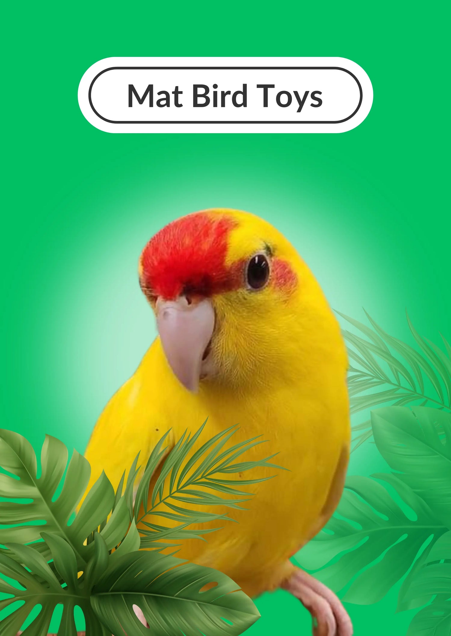 Matt Toys Lou Lou Bells Bird Toys