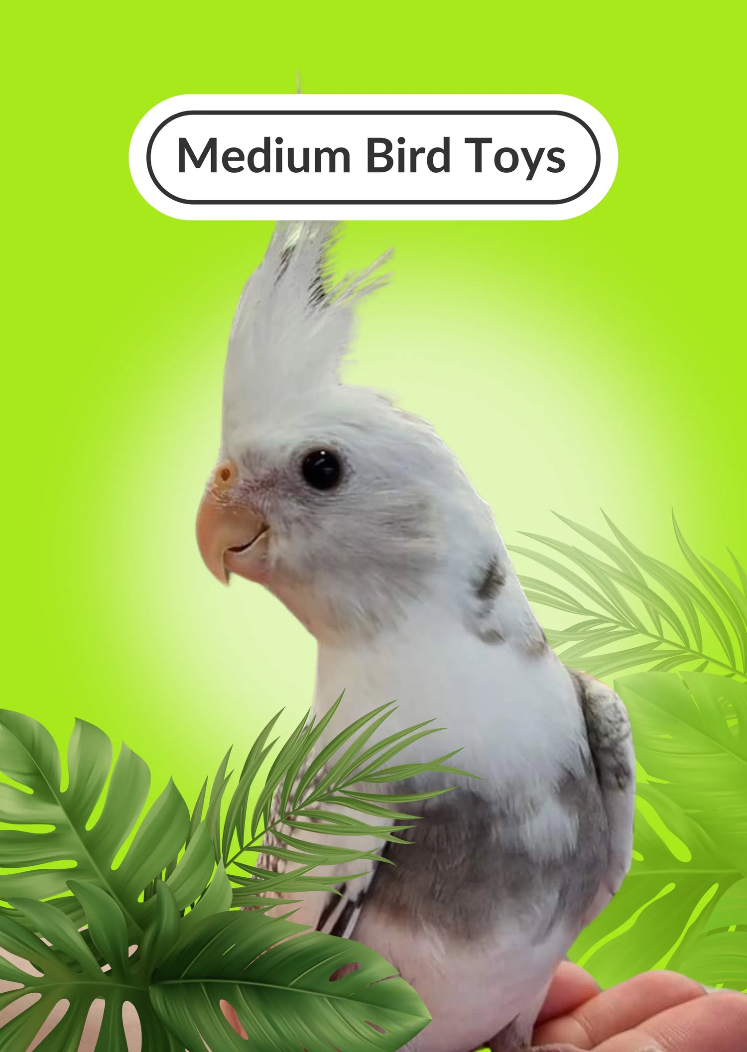 Medium Bird Toys Lou Lou Bells Bird Toys