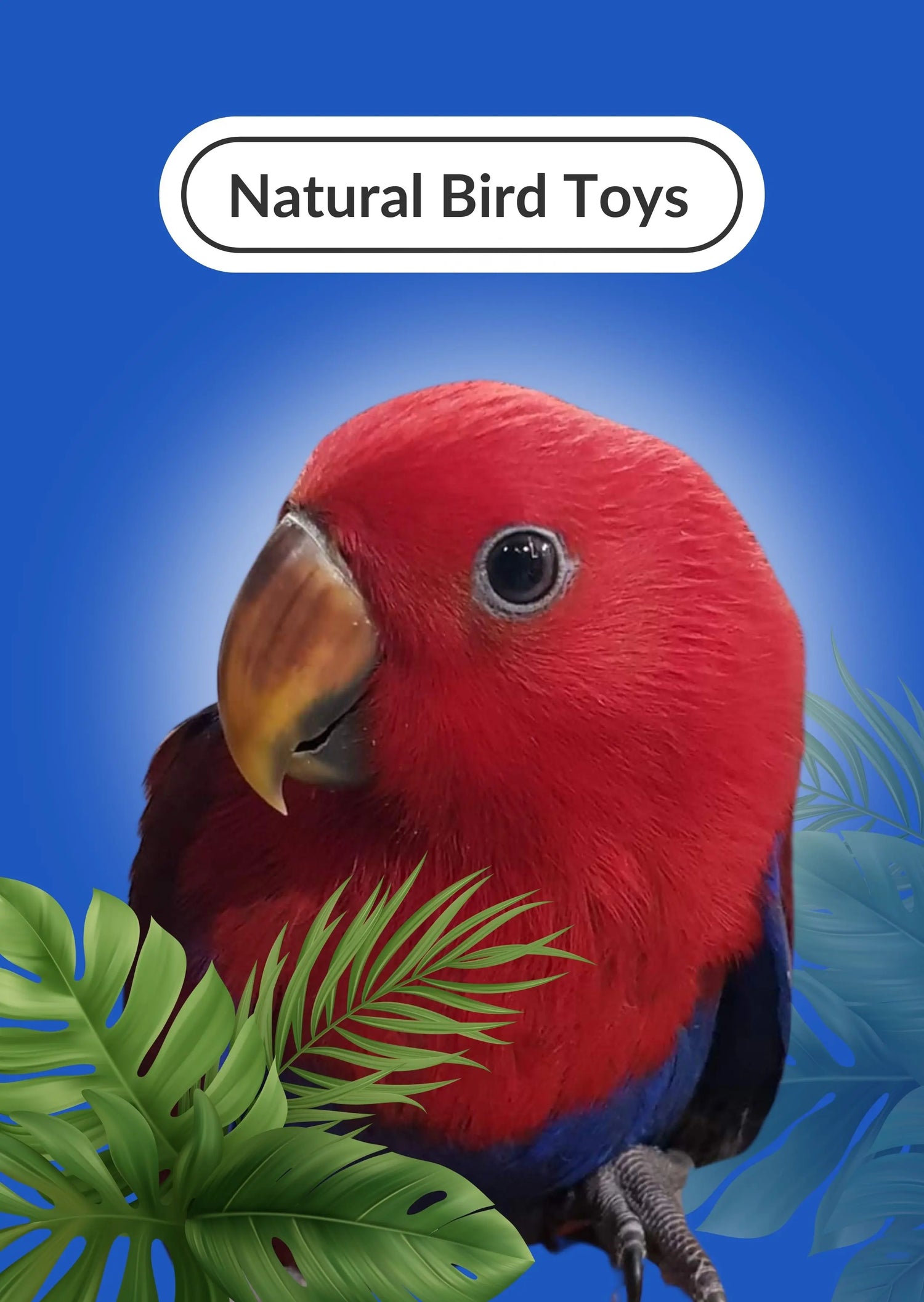 Natural Bird Toys Lou Lou Bells Bird Toys