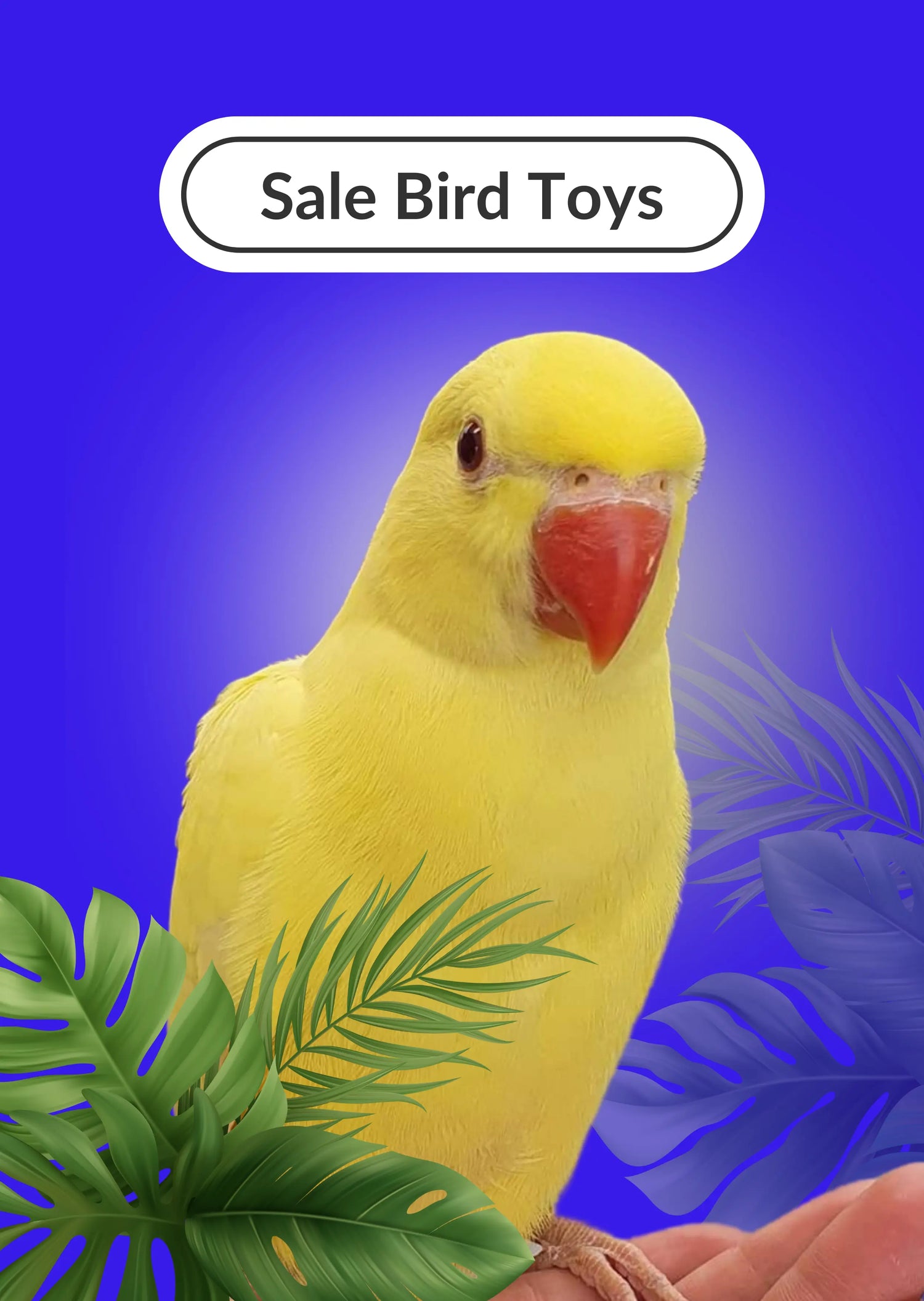 All Bird Toys On Sale Lou Lou Bells Bird Toys