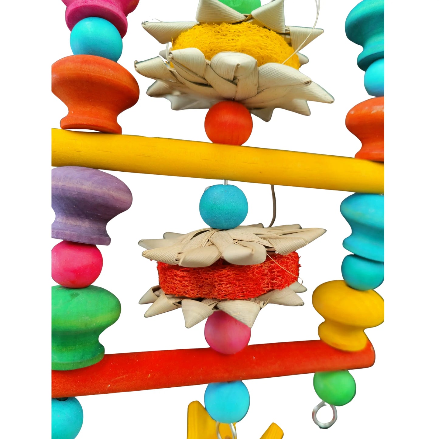 close up circus hanging ladder bird toy