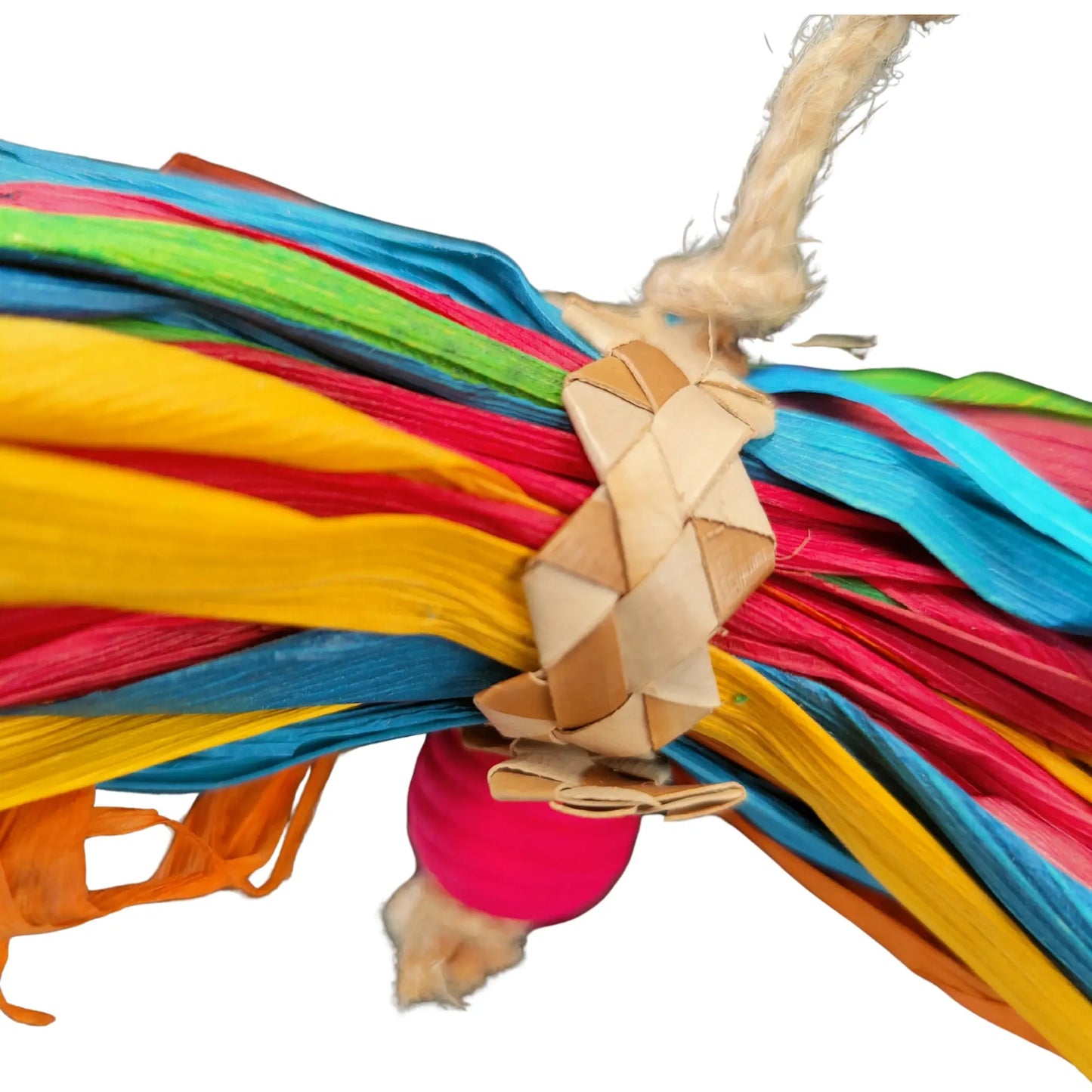 close up of coloured bow bird toy
