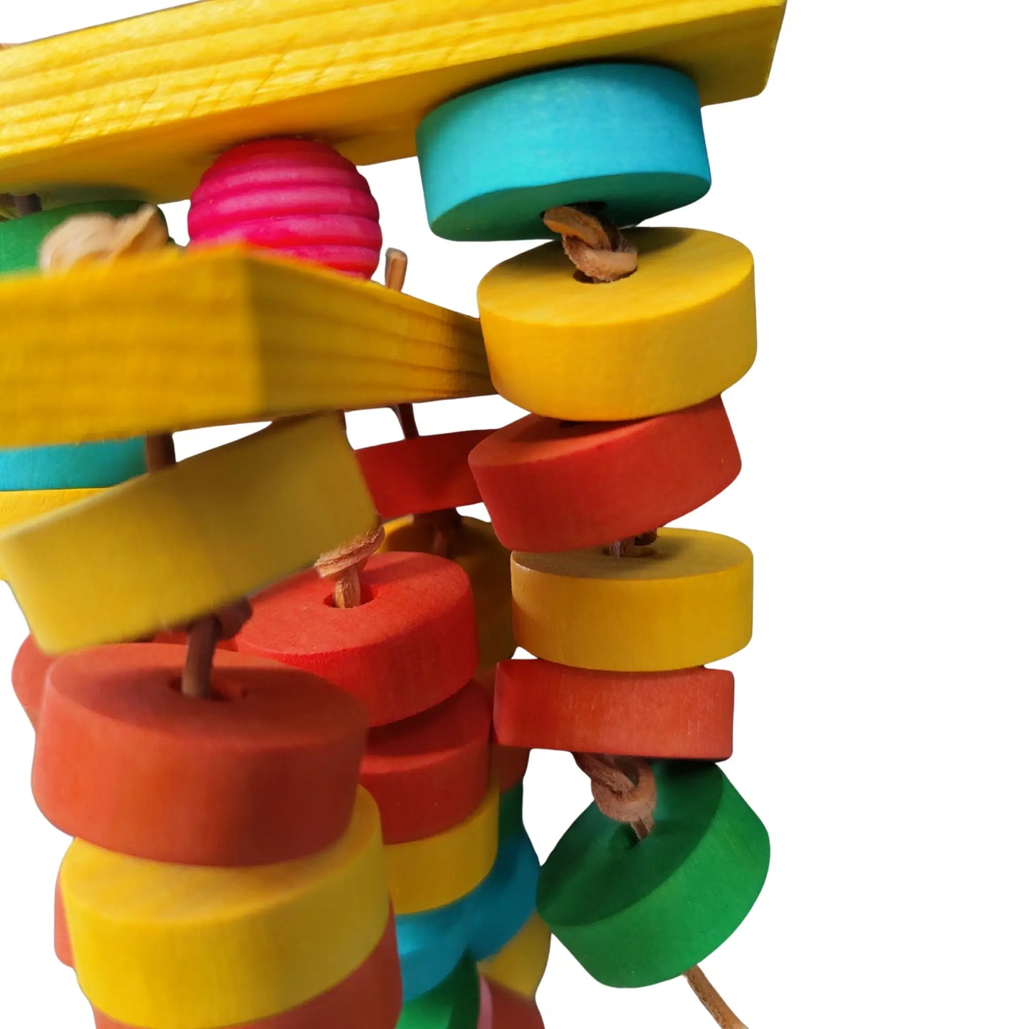 close up of the coloured wood rings bird toy
