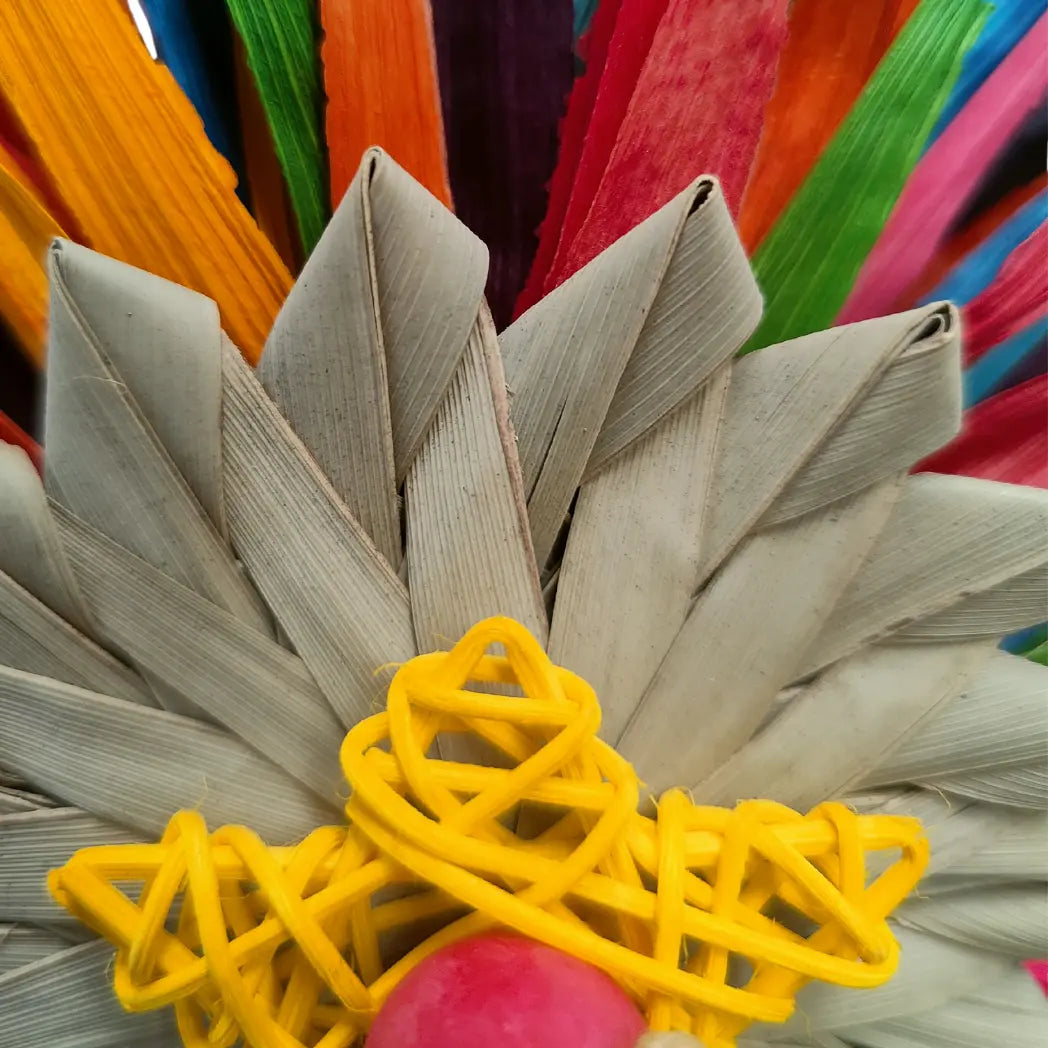 close up flower power