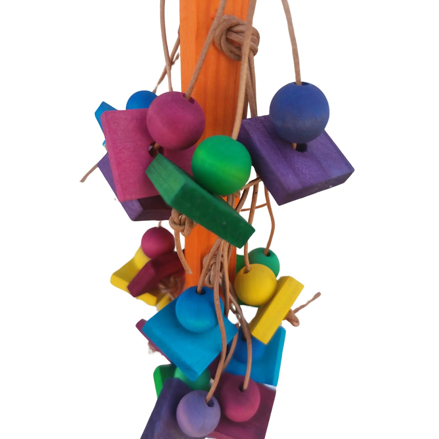 close up hanging wood blocks bird toy