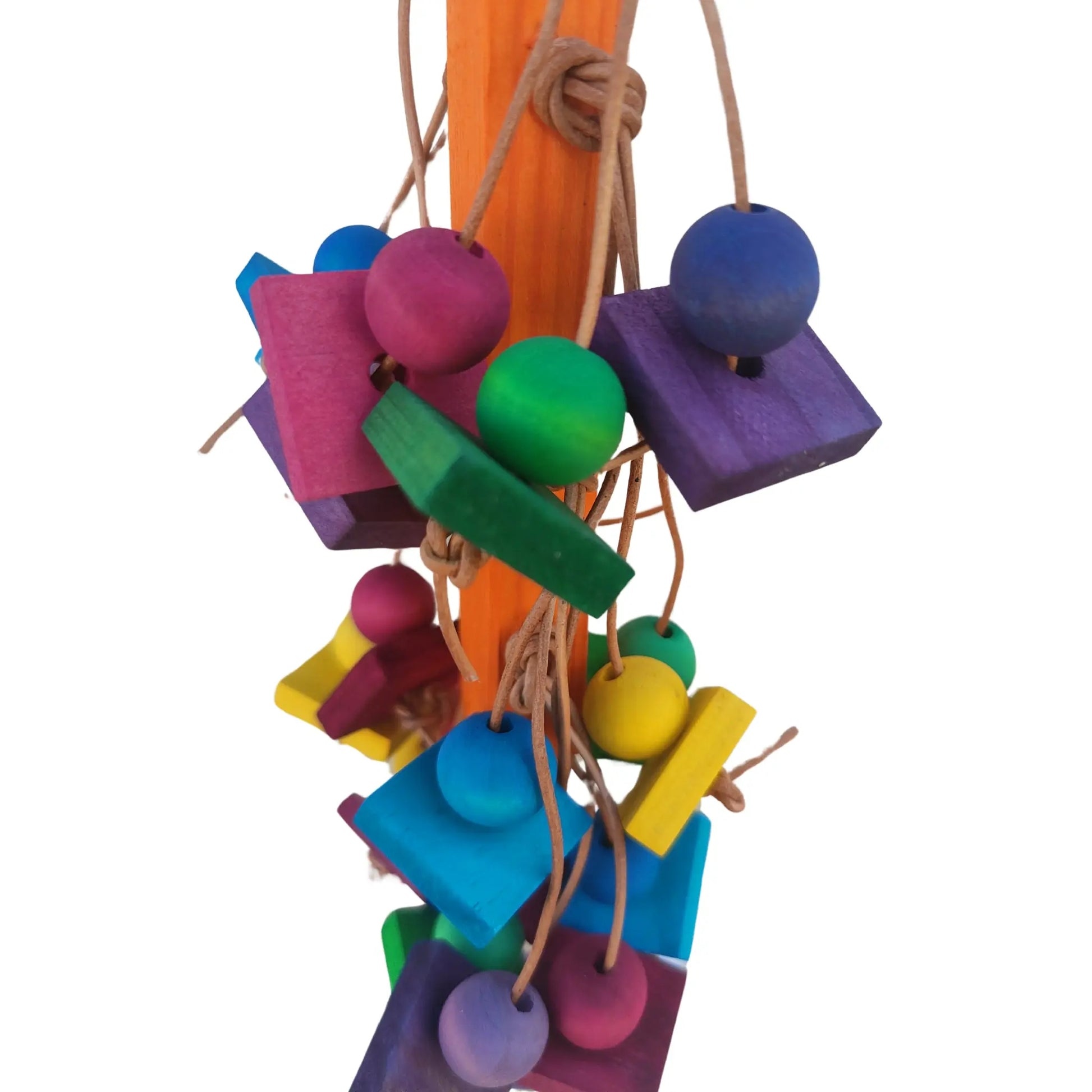 close up hanging wood blocks bird toy