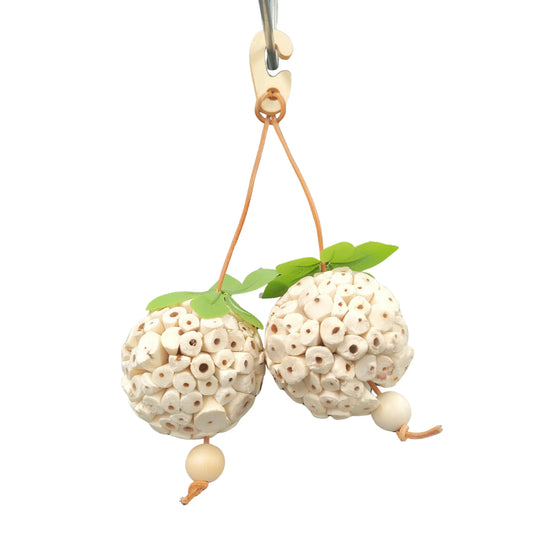 two hanging sola balls bird toys