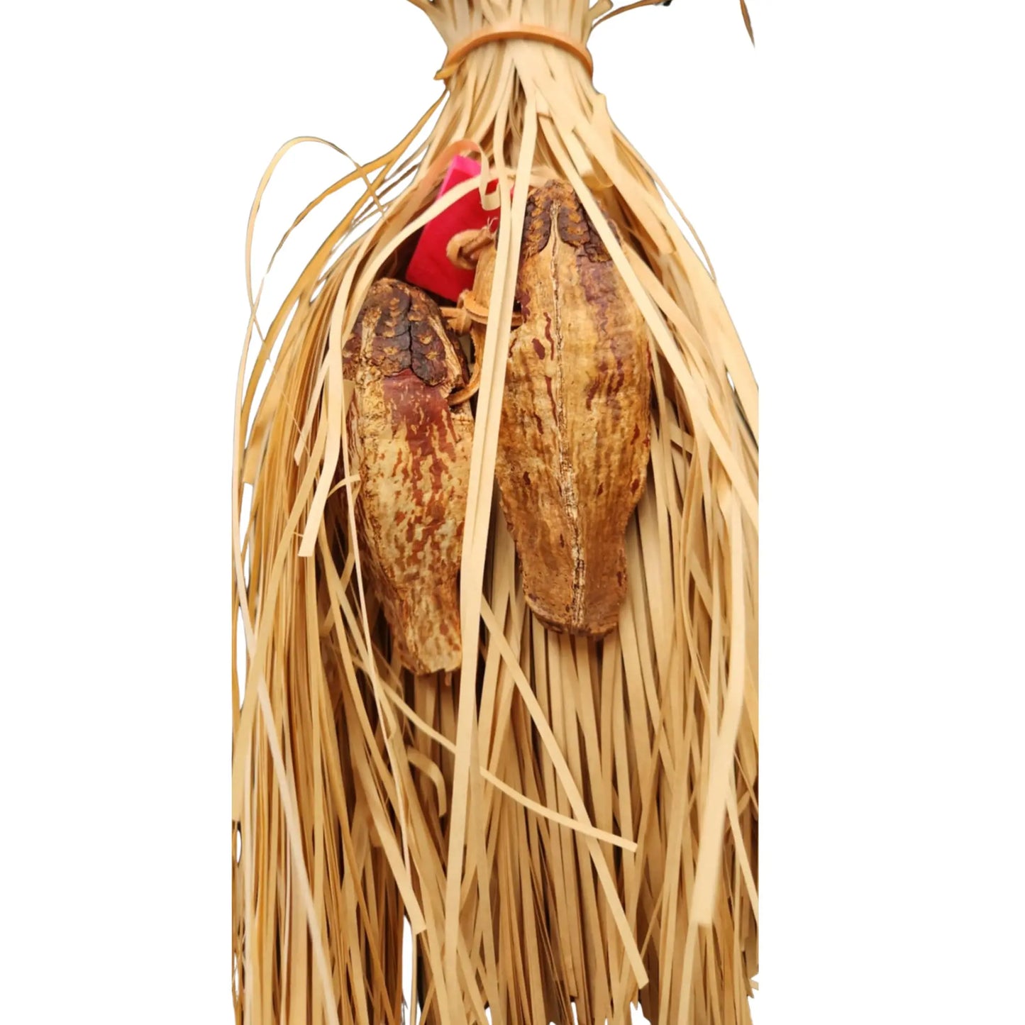 close up of the mahogony treats bird toy