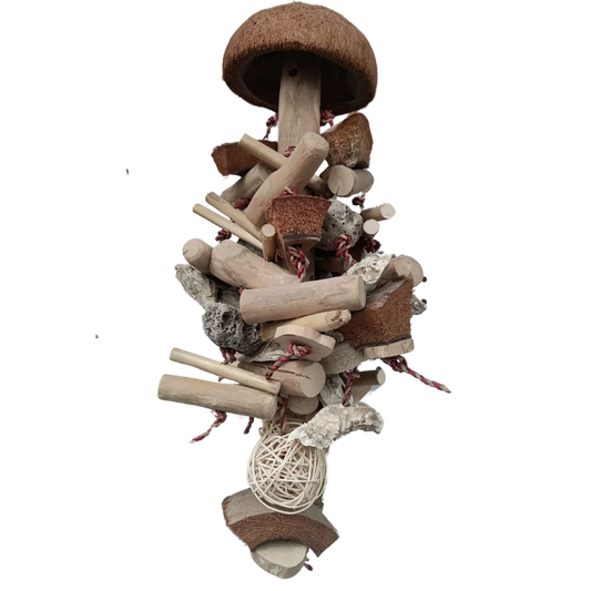 hanging log with loads of chunky natural bits with a coconut half on top bird toy