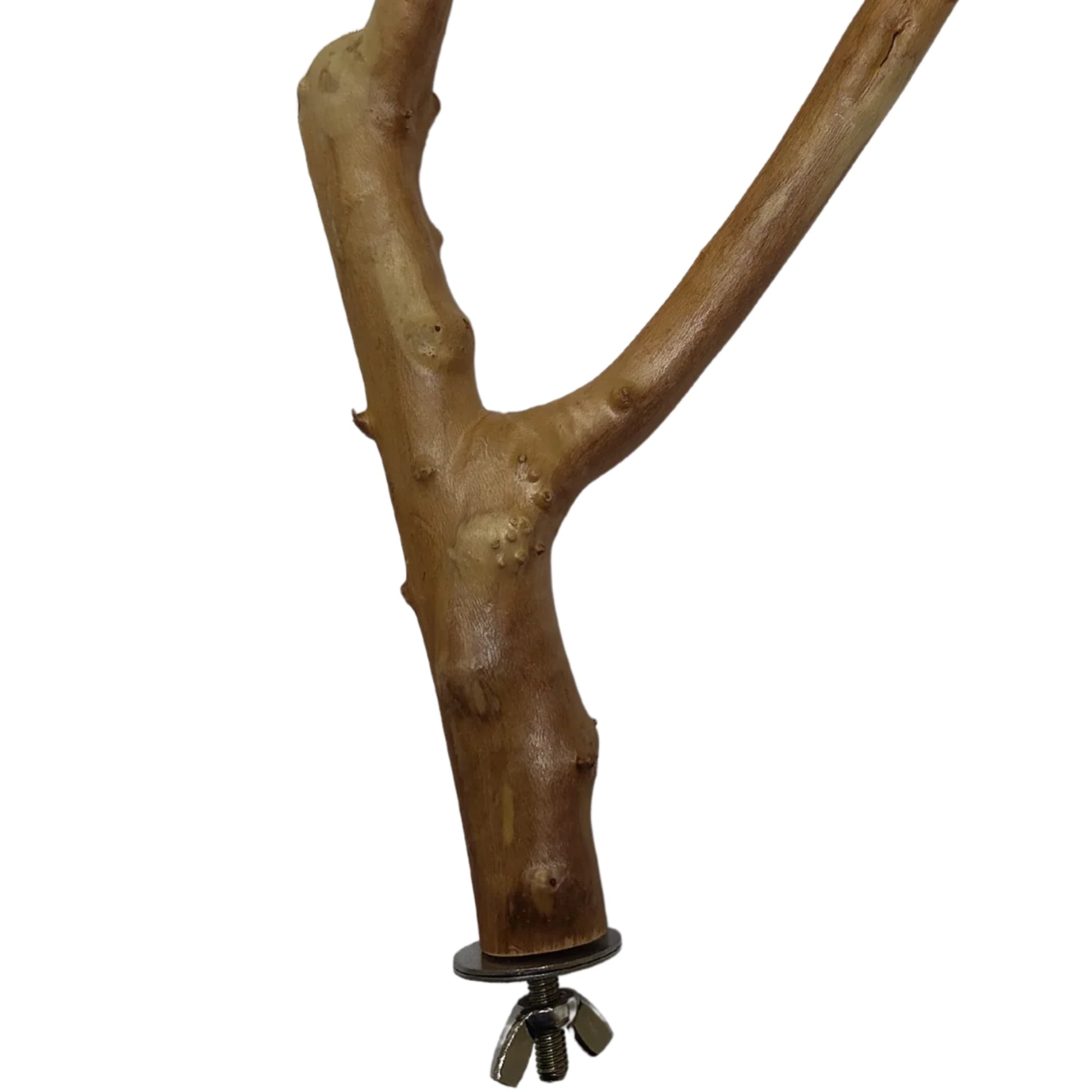 Natural Perch 25cm Lou Lou Bells Bird Toys