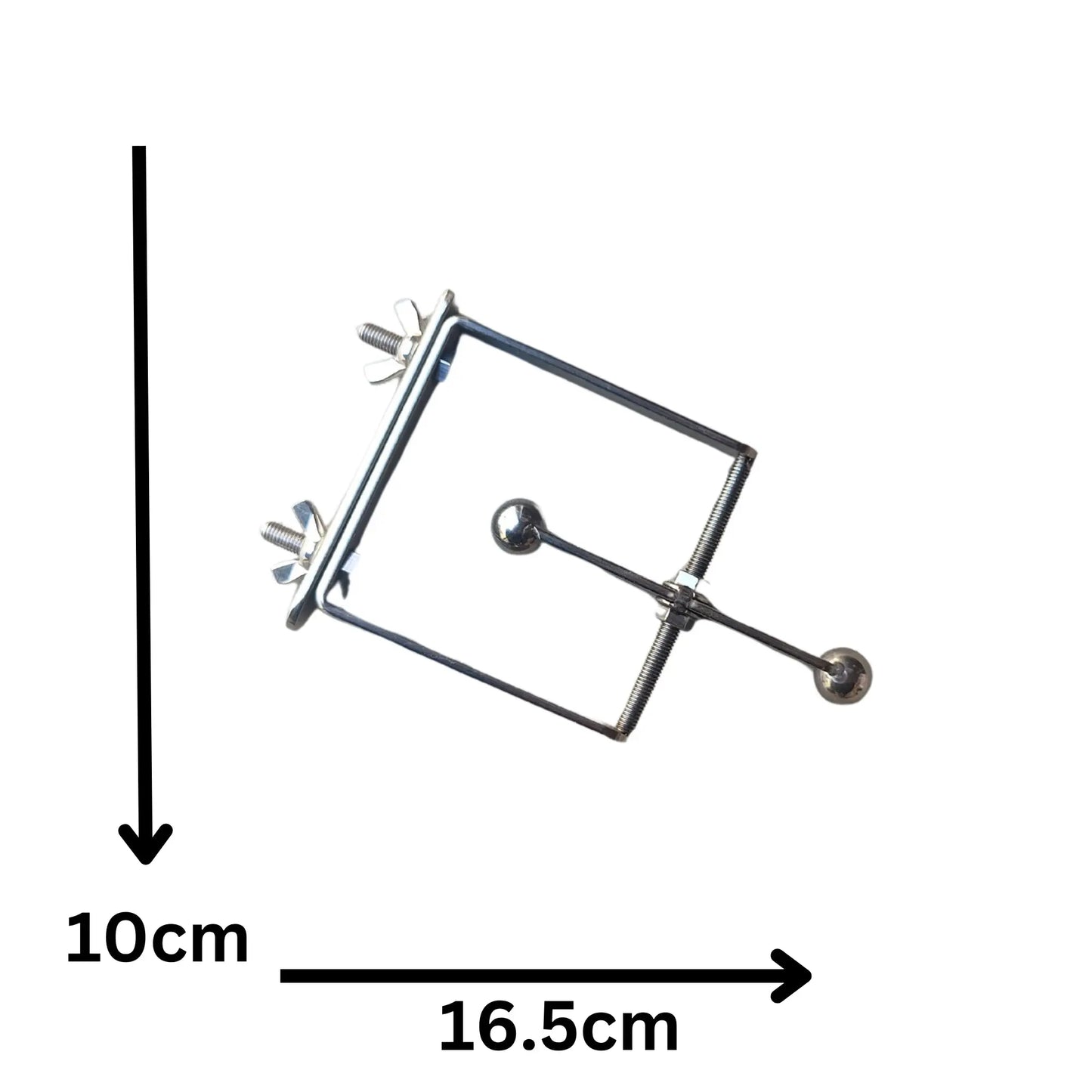 Stainless Steel Spinner Bird Toy Lou Lou Bells Bird Toys