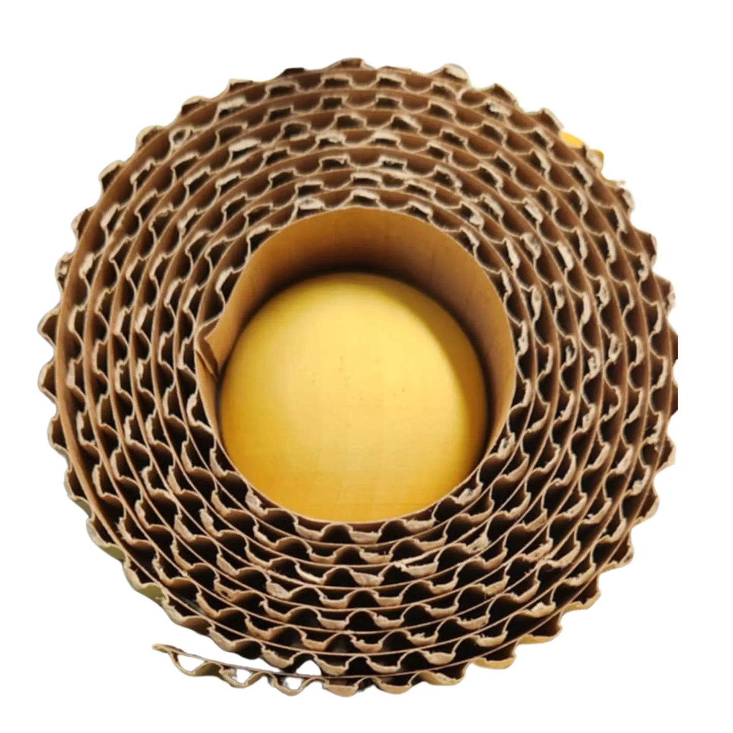 close up spot light bird toy 2