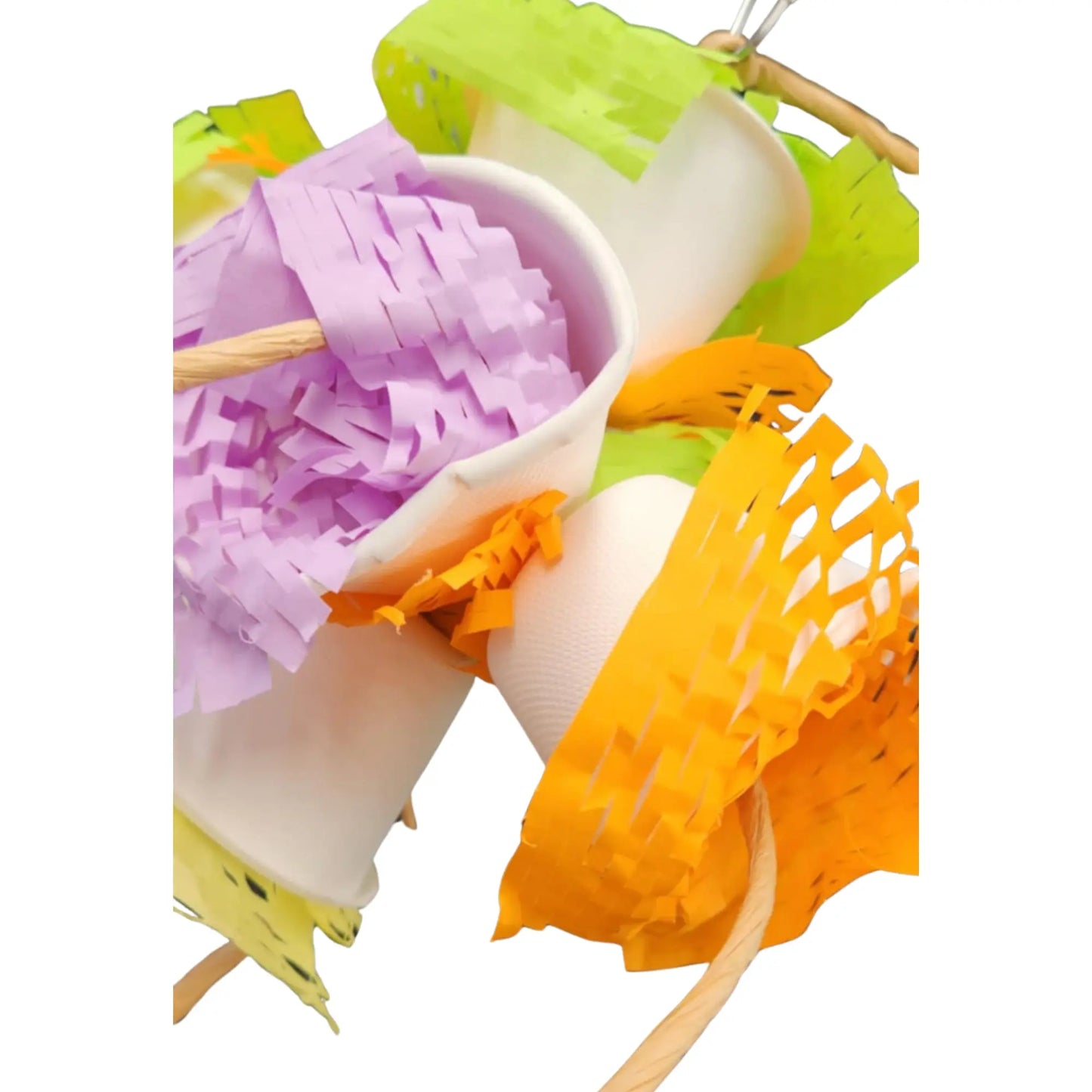 close up wiffle cups bird toy