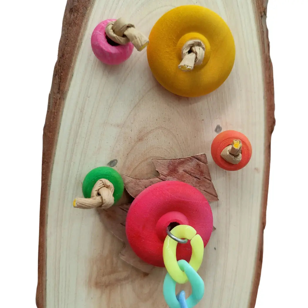 Wood slice with coloured wood beads