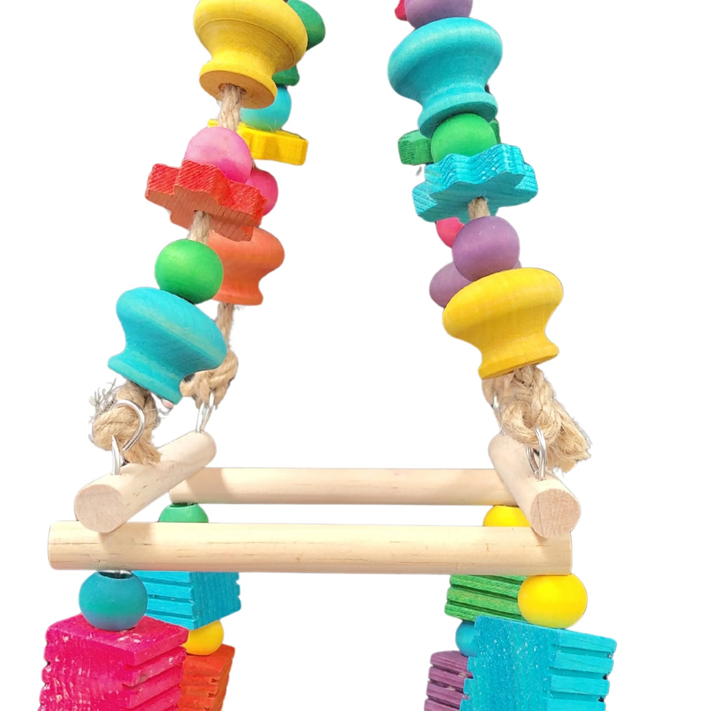 close up colourful wood swing bird