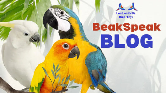 Lou Lou Bells Bird Toys BeakSpeak Blog Posts