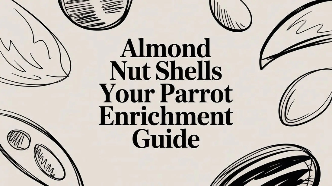 Almond Nut Shells: Your Parrot's Ultimate Enrichment Guide Lou Lou Bells Bird Toys