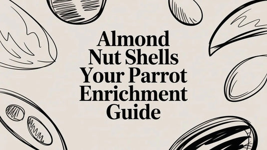 Almond Nut Shells: Your Parrot's Ultimate Enrichment Guide Lou Lou Bells Bird Toys