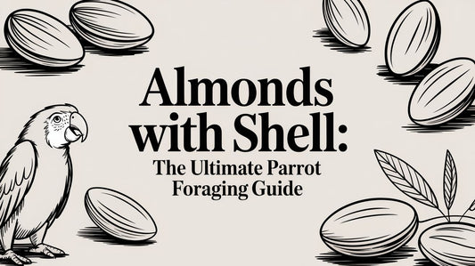 Almonds With Shell: The Ultimate Parrot Foraging Guide Lou Lou Bells Bird Toys