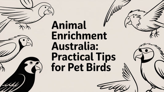 Animal Enrichment Australia: Practical Tips for Pet Birds