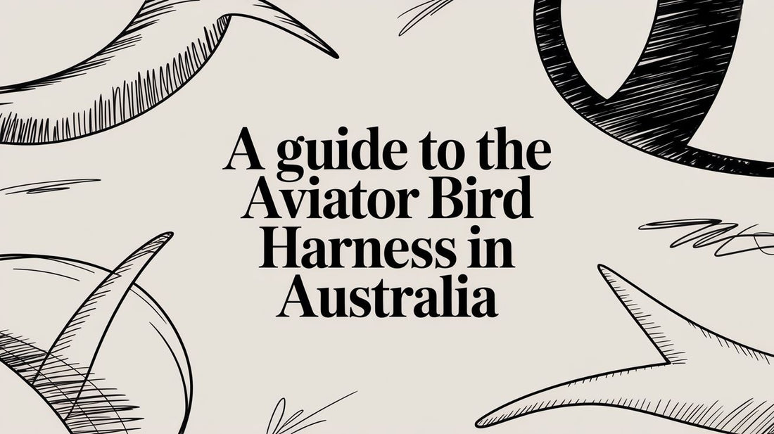 A Guide to the Aviator Bird Harness in Australia
