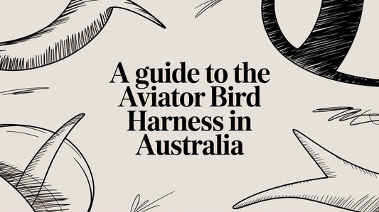 A Guide to the Aviator Bird Harness in Australia