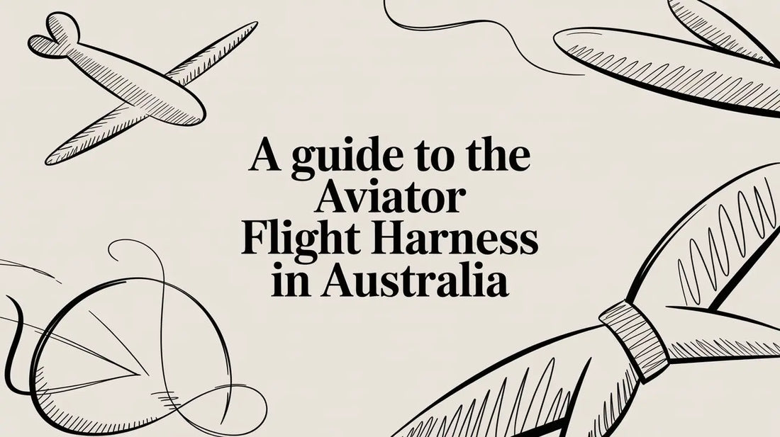 A Guide to the Aviator Flight Harness in Australia Lou Lou Bells Bird Toys