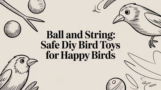 Ball and string: Safe DIY Bird Toys for Happy Birds Lou Lou Bells Bird Toys