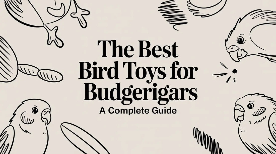 The Best Bird Toys for Budgerigars: a Complete Guide Lou Lou Bells Bird Toys