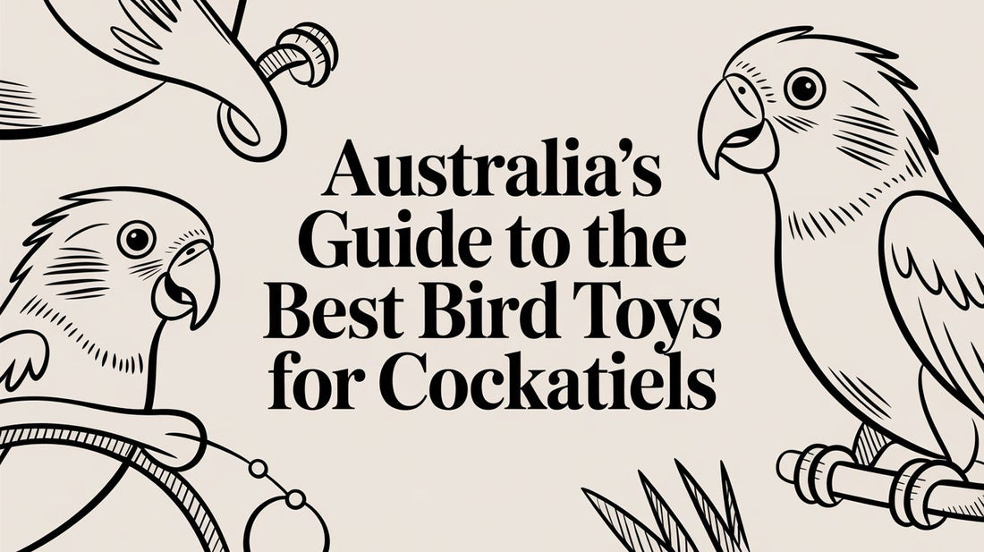 Australia's Guide To The Best Bird Toys For Cockatiels Lou Lou Bells Bird Toys