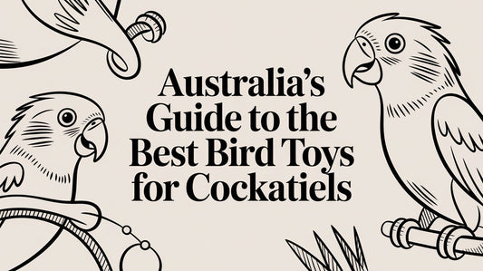 Australia's Guide To The Best Bird Toys For Cockatiels Lou Lou Bells Bird Toys