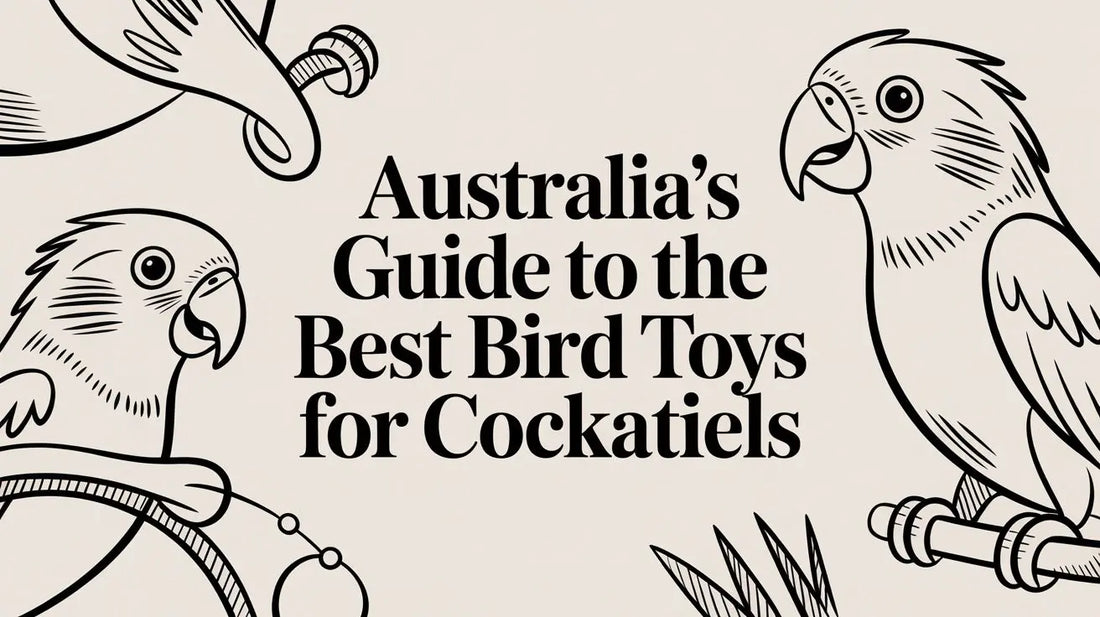 Australia's Guide To The Best Bird Toys For Cockatiels Lou Lou Bells Bird Toys