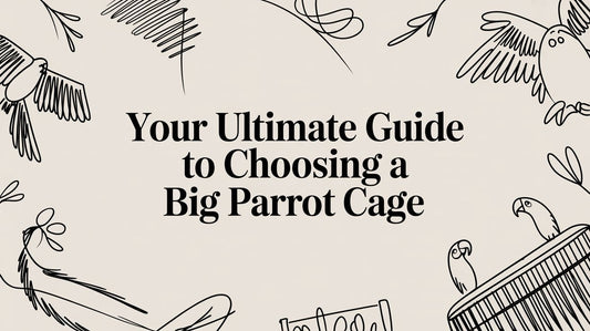 Your Ultimate Guide to Choosing a Big Parrot Cage Lou Lou Bells Bird Toys