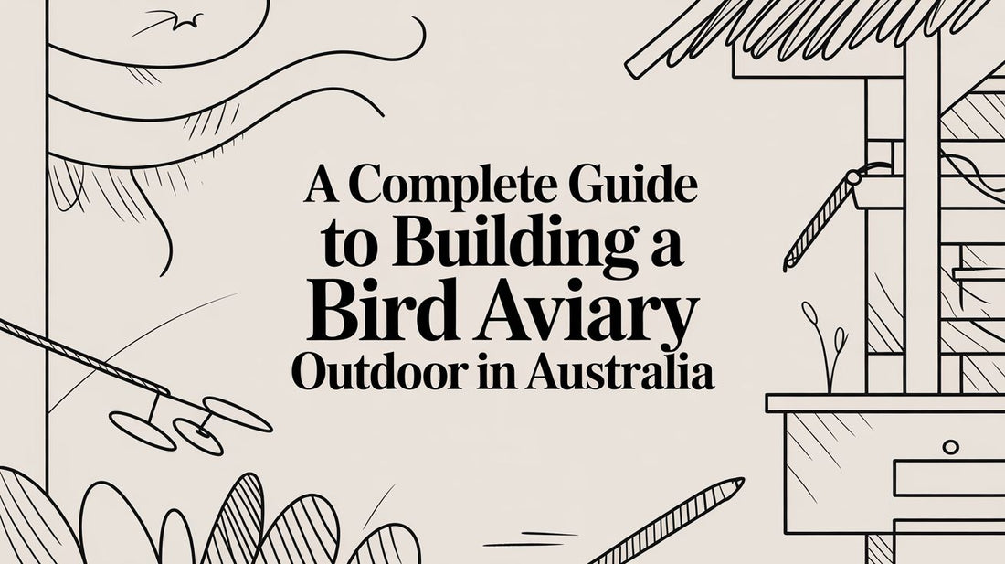 A Complete Guide to Building a Bird Aviary Outdoor in Australia