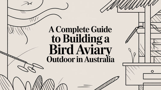 A Complete Guide to Building a Bird Aviary Outdoor in Australia