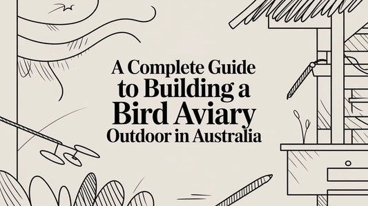 A Complete Guide to Building a Bird Aviary Outdoor in Australia Lou Lou Bells Bird Toys