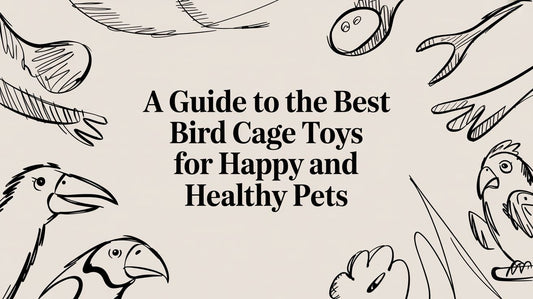 A Guide to the Best Bird Cage Toys for Happy and Healthy Pets