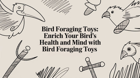 Bird Foraging Toys: Enrich Your Bird's Health and Mind