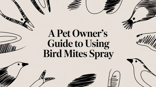 A Pet Owner's Guide to Using Bird Mite Spray Lou Lou Bells Bird Toys