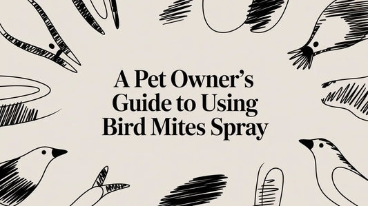A Pet Owner's Guide to Using Bird Mite Spray Lou Lou Bells Bird Toys