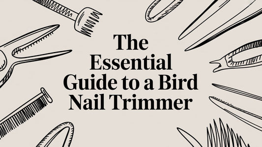 The Essential Guide to a Bird Nail Trimmer Lou Lou Bells Bird Toys