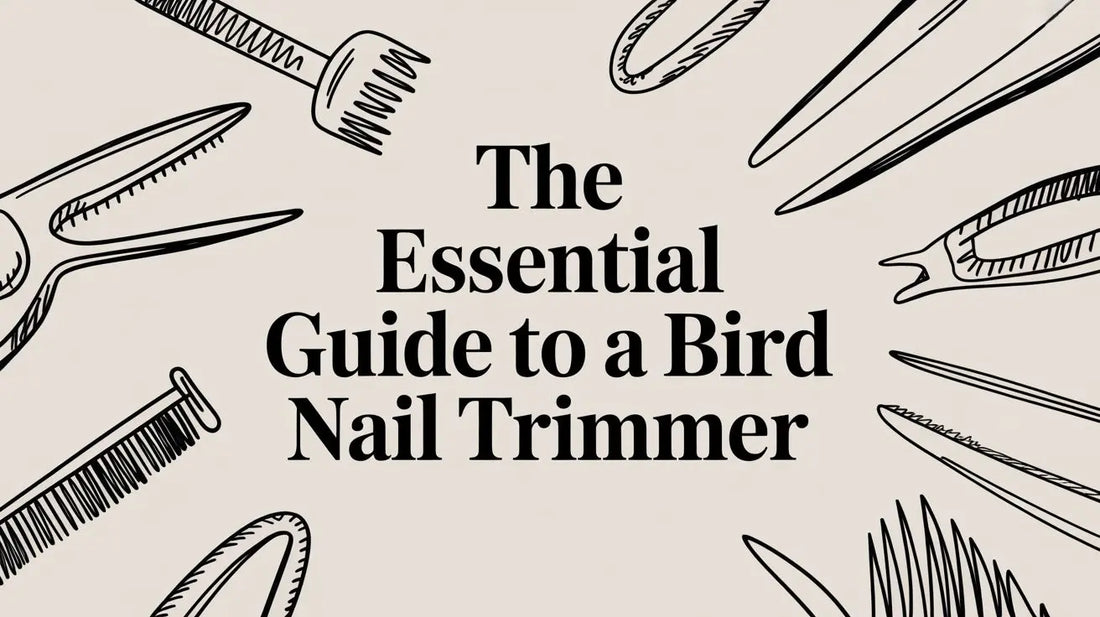 The Essential Guide to a Bird Nail Trimmer Lou Lou Bells Bird Toys