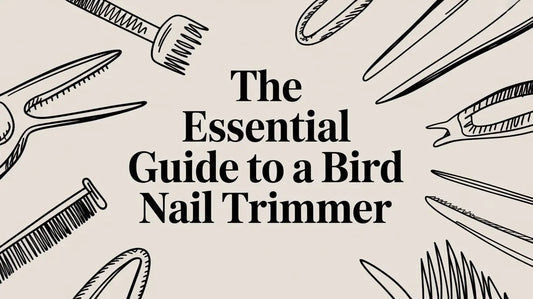The Essential Guide to a Bird Nail Trimmer Lou Lou Bells Bird Toys