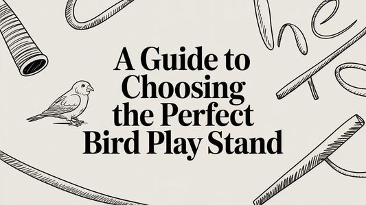 A Guide to Choosing the Perfect Bird Play Stand Lou Lou Bells Bird Toys