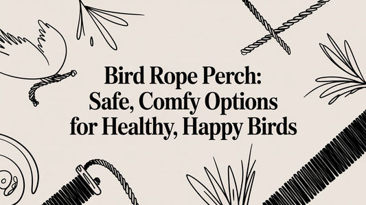 Bird rope perch: Safe, comfy options for healthy, happy birds