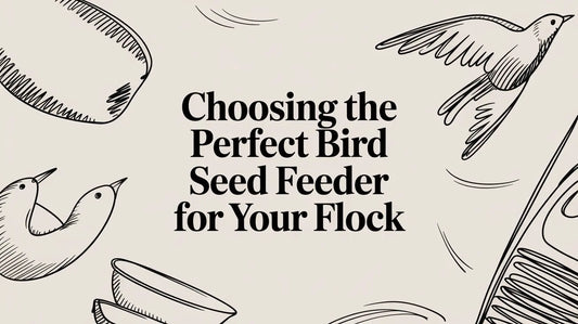 Choosing The Perfect Bird Seed Feeder For Your Flock Lou Lou Bells Bird Toys