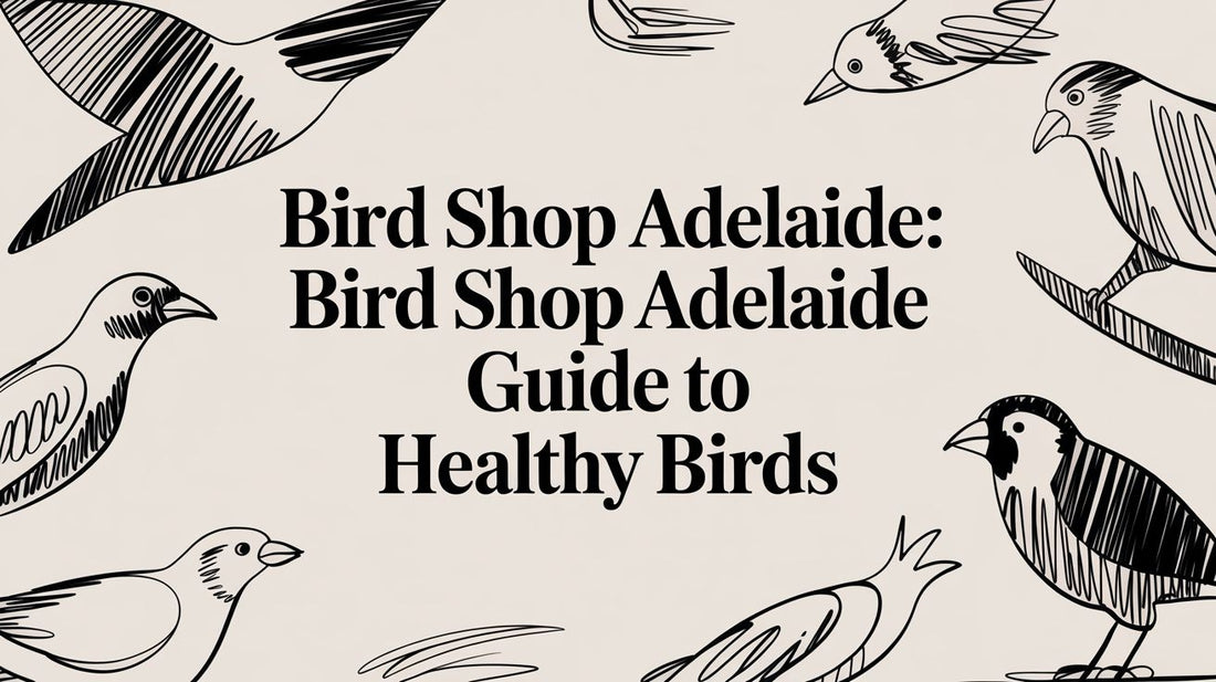 Bird Shop Adelaide: Your Expert Guide to Healthy Birds Lou Lou Bells Bird Toys