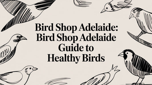Bird Shop Adelaide: Your Expert Guide to Healthy Birds Lou Lou Bells Bird Toys