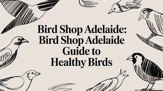 Bird Shop Adelaide: Your Expert Guide to Healthy Birds Lou Lou Bells Bird Toys