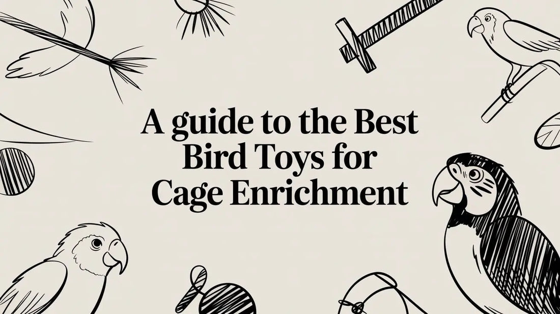 A-Guide-to-the-Best-Bird-Toys-for-Cage-Enrichment Lou Lou Bells Bird Toys